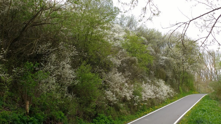 Frühling